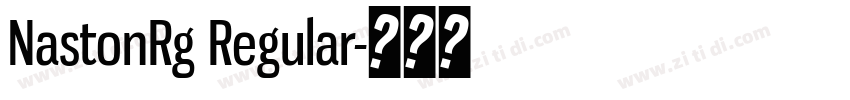 NastonRg Regular字体转换
